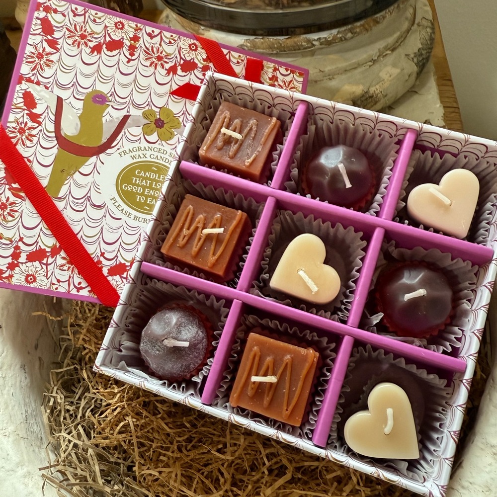 Anthropologie Fragranced Shaped Wax Candles wRed Ribbon Chocolate Shaped Candles